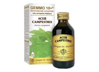 Gemmo 10+ acero campestre 100 ml liquido analcolico