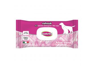 Salviette aloe vera inodorina 40 pezzi