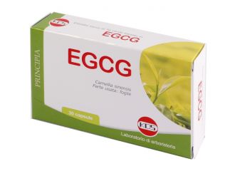 Egcg the verde 30 capsule nuova formula