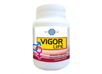 Vigor life 40 capsule