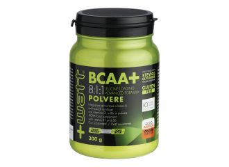 Bcaa+ 811 polvere arancia 300 g