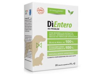 Dientero 20 Bustine10ml