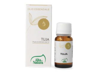 Essentia thuja olio essenziale purissimo 10 ml