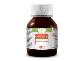 Cordifungus 60 capsule