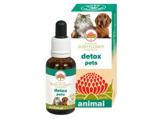 Detox pets 30 ml