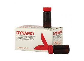 Dynamo 14 flaconcini da 10 ml