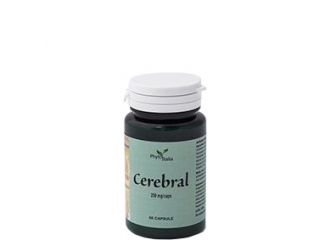 Cerebral ayurved 60 capsule