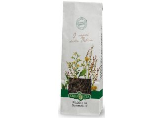 Pilosella taglio tisana sommita' 100 g