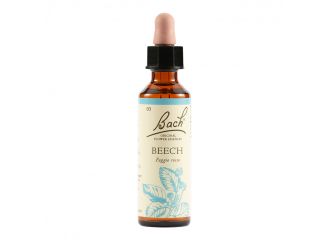 Bach  3 beech gtt 20ml lkr