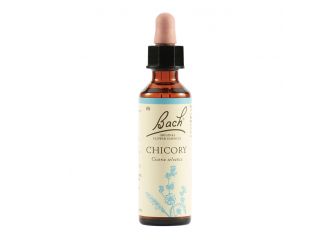 Bach  8 chicory gtt 20ml lkr