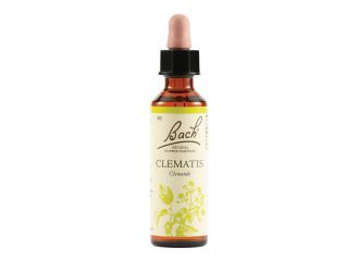 Bach  9 clematis gtt 20ml lkr