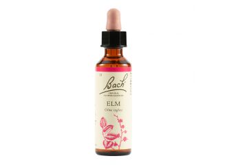 Bach 11 elm gtt 20ml lkr