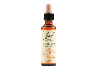 Bach 20 mimulus gtt 20ml lkr