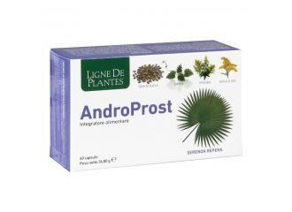 Androprost 60 cps nse