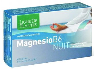 Magnesio b-6 nuit 60 capsule