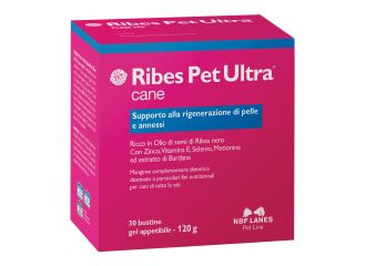 RIBES PET ULTRA CANE 30 STICK