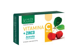 Ligne de plantes vitamina c 500 mg + zinco acerola e manna di bambu' 60 capsule