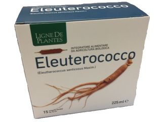 Eleuterococco biologico 15 ampolle bevibili da 15 ml