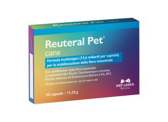 REUTERAL PET CANE 30 CPR