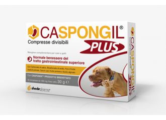 Caspongil plus 30 compresse