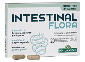 Intestinal flora 20 capsule