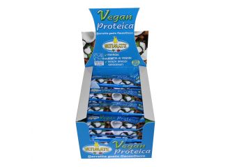 Barretta vegan proteica cacao/cocco 24 pezzi