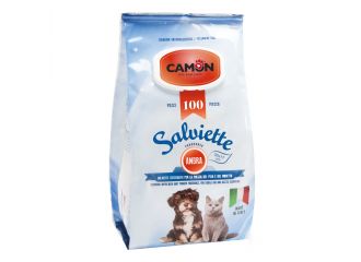 CAMON SALVIETTE DETERGENTI 100 PZ AMBRA