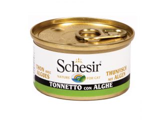 Schesir tonnetto con alghe 85 g