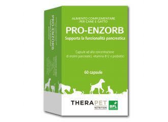 Pro enzorb 60 cps