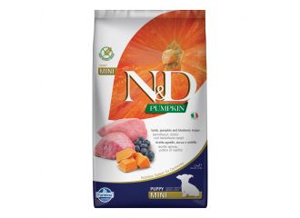 N&d gf pumpkin lamb&blueberry puppy mini 2,5 kg