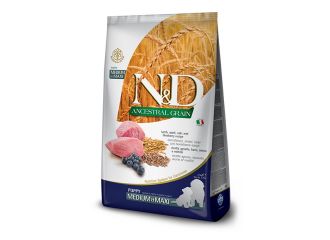 N&d low grain dog lamb & blueberry puppy medium-maxi 2,5 kg