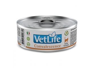 FARMINA GATTO VETLIFE CONVALESCENCE LATTINA 85 GR