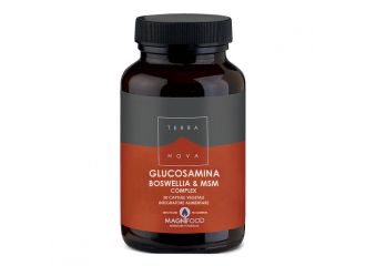 Terranova complesso di glucosamina boswellia e msm 50 capsule