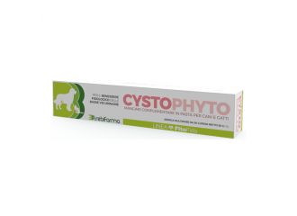 Cystophyto pasta siringa 30 g