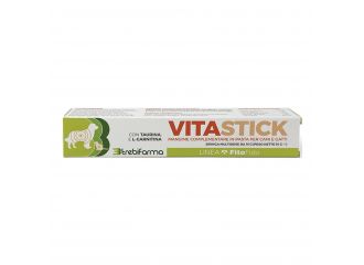 Vitastick pasta siringa 15 g