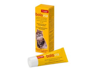 Bolo via pasta gatti tubo 25 g