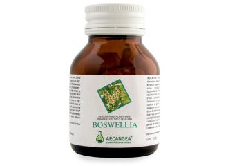 Boswellia 60 cps acn