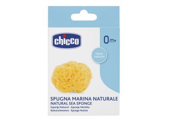 Chicco Spugna Marina Caraibica Media