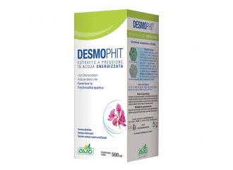 Desmophit 500ml a.v.d.