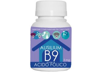 Ausilium b9 vet acido folico 100 g