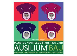 Ausilium bau 300 g con misurino