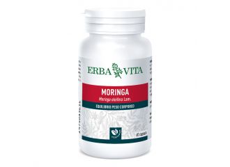 Moringa 60 capsule