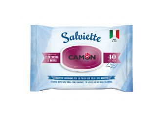 CAMON SALVIETTE DETERGENTI 40 PZ CLOREXIDINA & MIRRA IGIENIZZANTI