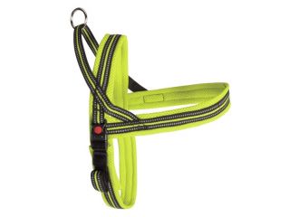 Pettorina mesh dynamic plus lime 100