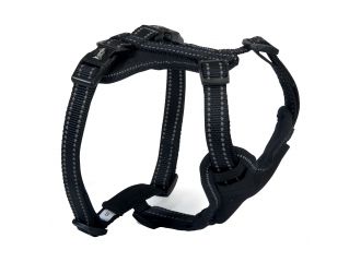 CAMON CANE PETTORINA IN NEOPRENE "REFLEX" 5 REGOLAZIONI TG. MEDIUM NERO