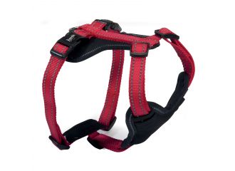 CAMON CANE PETTORINA IN NEOPRENE "REFLEX" 5 REGOLAZIONI TG. LARGE ROSSO