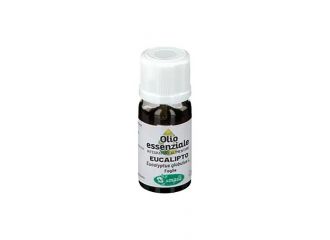 Eucalipto olio essenziale 10 ml