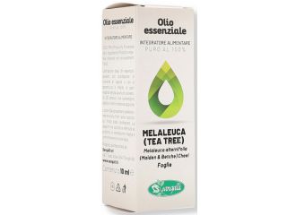 Melaleuca olio essenziale 10 ml