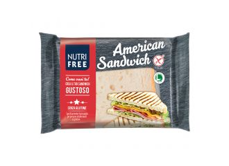 Nutrifree Sandwich American4pezzi