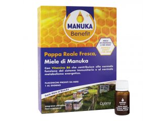 Manuka benefit pappa reale manuka vitamina b6 10 flaconcini 10 ml